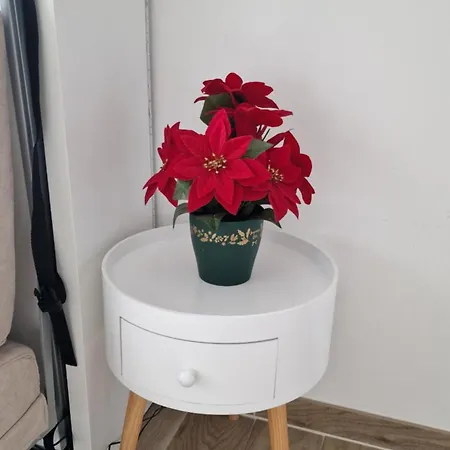 Avec Sa Salle De De Bain Privative בית אירוח מאסי